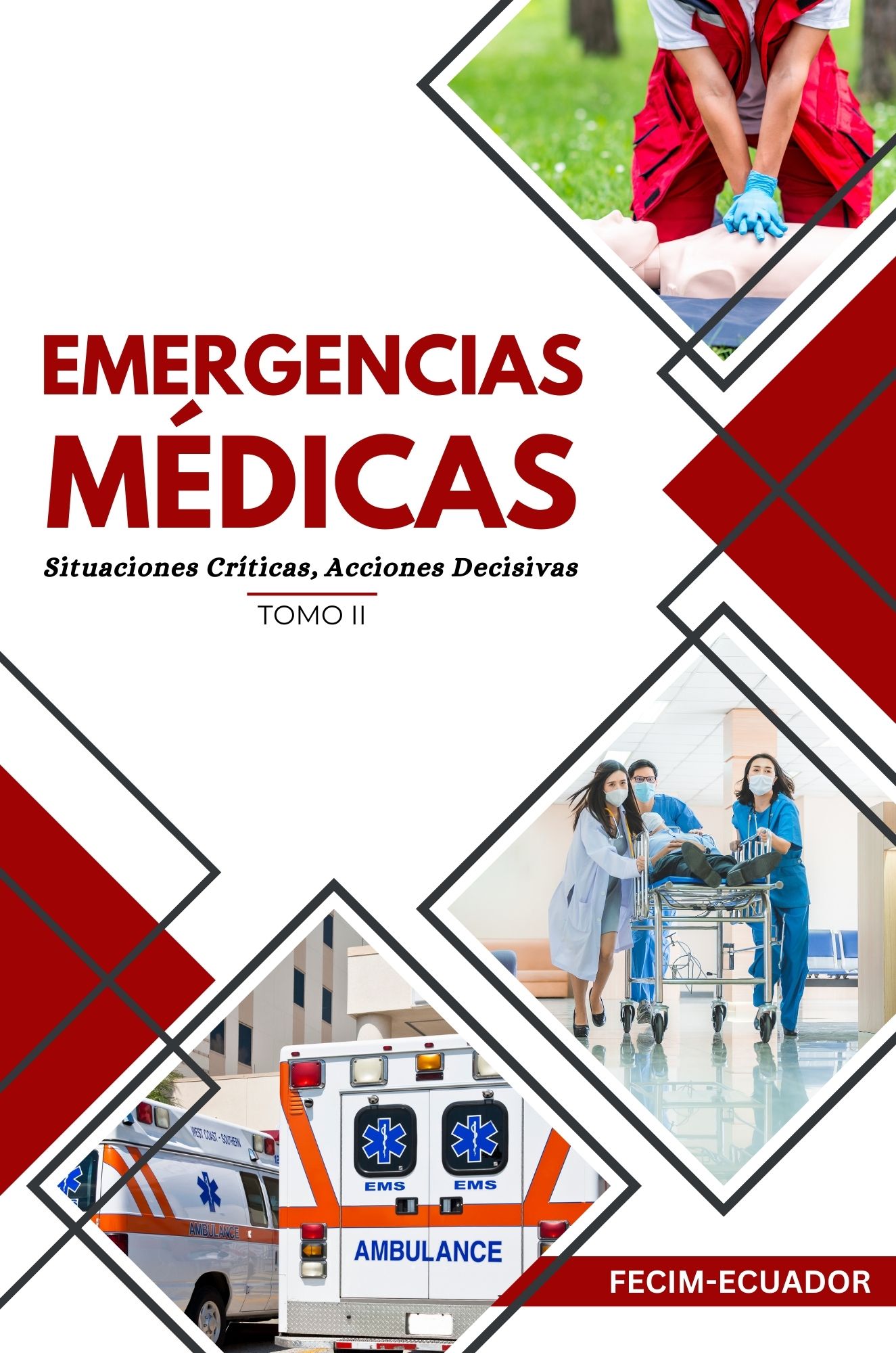 Ver Vol. 2 Núm. bookmed13 (2025): Emergencias médicas. Situaciones críticas, acciones decisivas.
